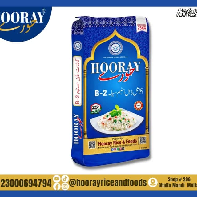 Kainat Steam Sella B2