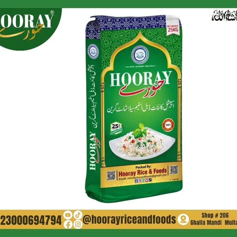 Kainat Steam Sella B1 Hooray